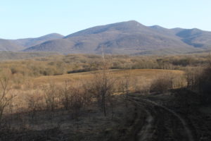 Наша пасека в феврале