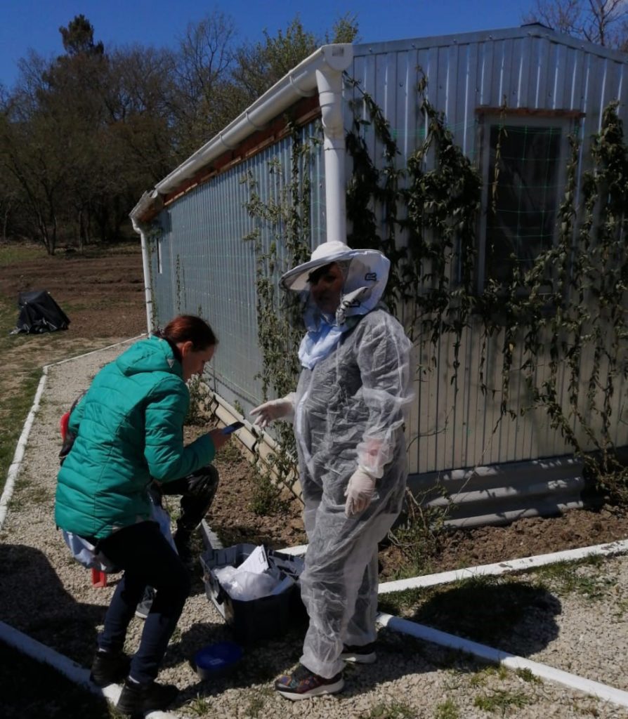 На пасеке "Медовый Крым" ветслужба провела ежегодный осмотр.